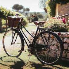 Showcasing Your Vintage Bicycle Collection